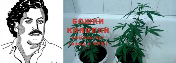 мдпв Няндома