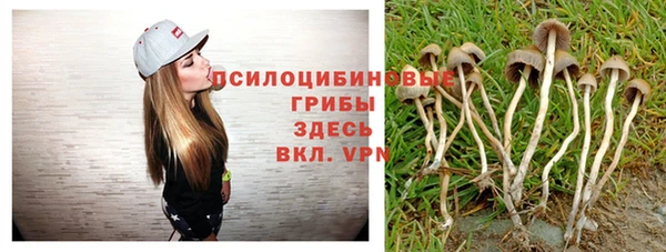 таблы Верея